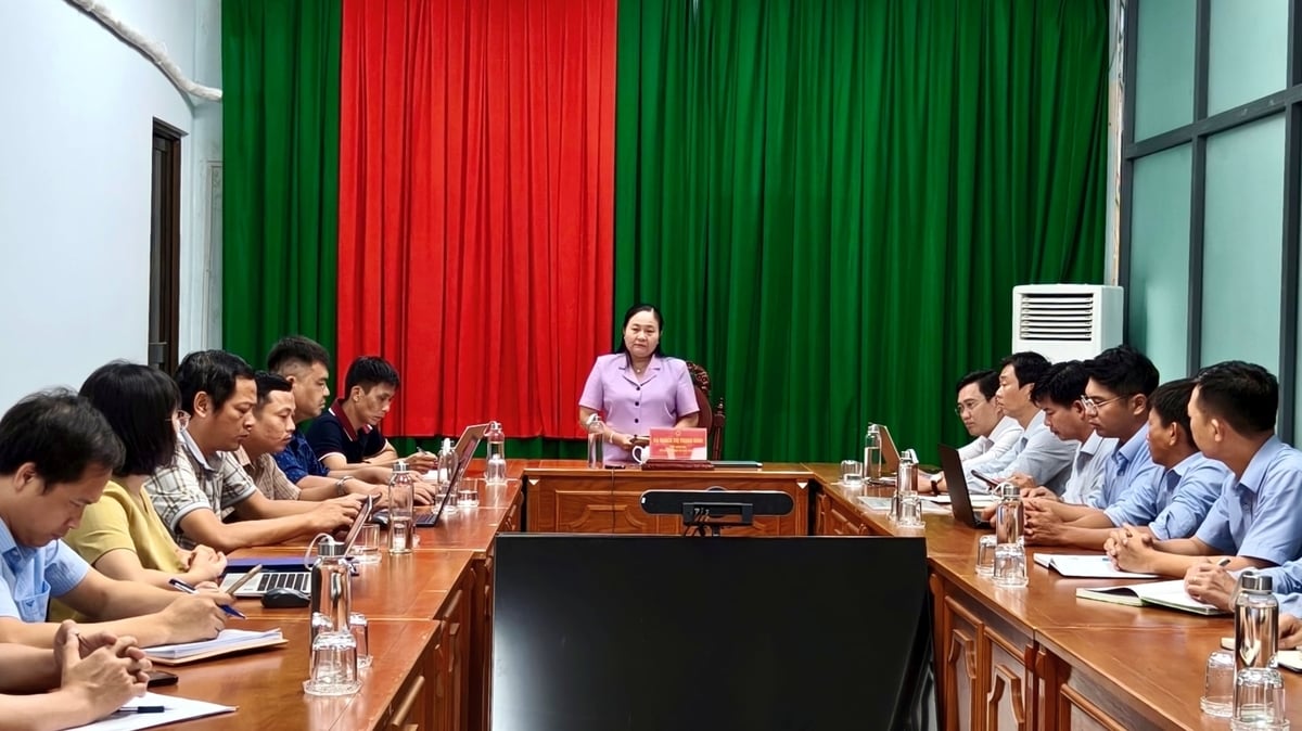 Quach Thi Thanh Binh, Deputy Director of the Can Tho Department of Agriculture and Environment, chairs a meeting with ICAFIS, seed and input suppliers, and cooperatives involved in the tilapia value chain. Photo: Kim Anh.