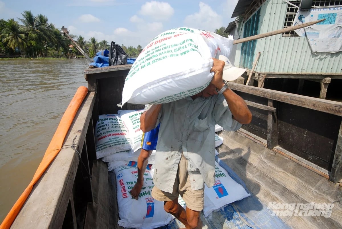 The recent decline in urea fertilizer prices has helped lower production costs, giving farmers across the Mekong Delta greater confidence to invest in the 2026 summer–autumn rice crop. Photo: Le Hoang Vu.