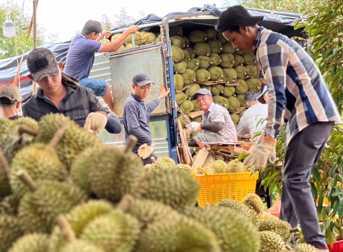 Constant price adjustments have forced enterprises and cooperatives to closely monitor market developments when making purchasing decisions. Photo: Tran Hung.