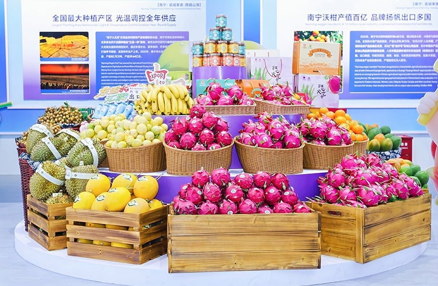 The ASEAN fruit pavilion at the event 'Made in ASEAN, Distributed in Guangxi, Sold Across China' in Nanning City (Guangxi Province), June 2026. Photo: Organizers.