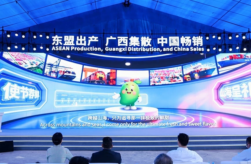 The 'ASEAN Fruit Gathering in Guangxi' Initiative focuses on fruits and fruit products from ASEAN countries penetrating the Chinese market. Photo: Organizing Committee.