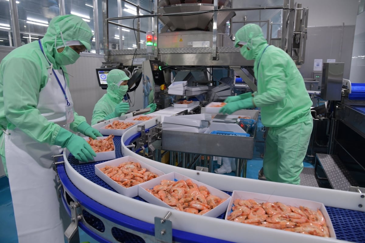 Seafood exports are projected to reach approximately USD 12.1–12.4 billion in 2026. Photo: Hong Tham. Seafood exports are projected to reach approximately USD 12.1–12.4 billion in 2026. Photo: Hong Tham.
