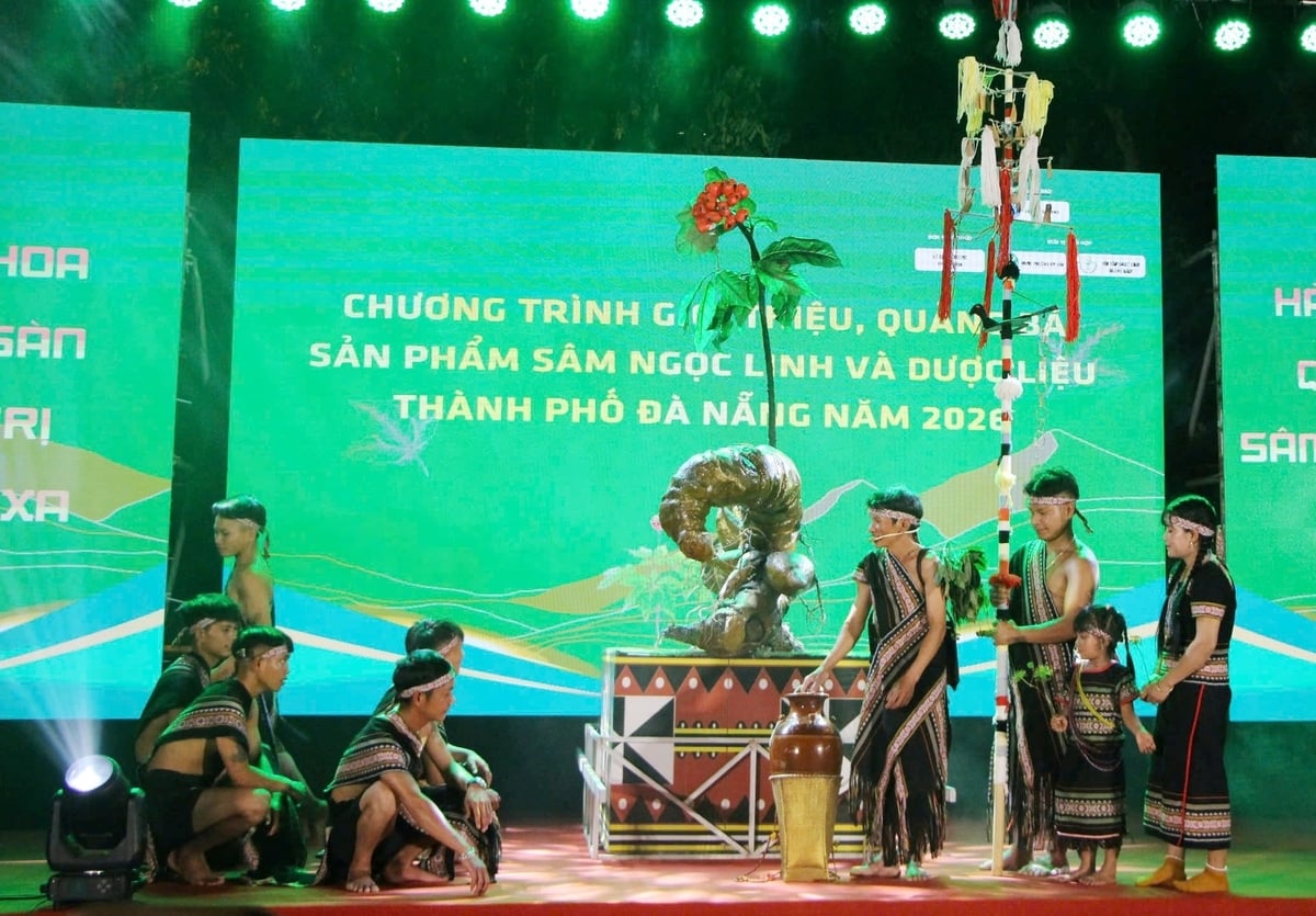 The ritual procession welcoming the 'National Treasure' Ngoc Linh ginseng during the program's opening ceremony. Photo: Lan Anh. The ritual procession welcoming the 'National Treasure' Ngoc Linh ginseng during the program's opening ceremony. Photo: Lan Anh.