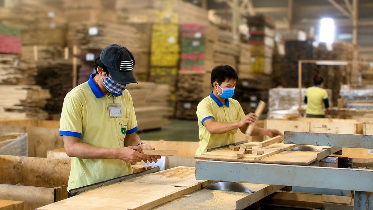 Enhancing quality and value addition is becoming a key direction for enterprises to maintain their market share in export markets. Photo: Ha Linh.