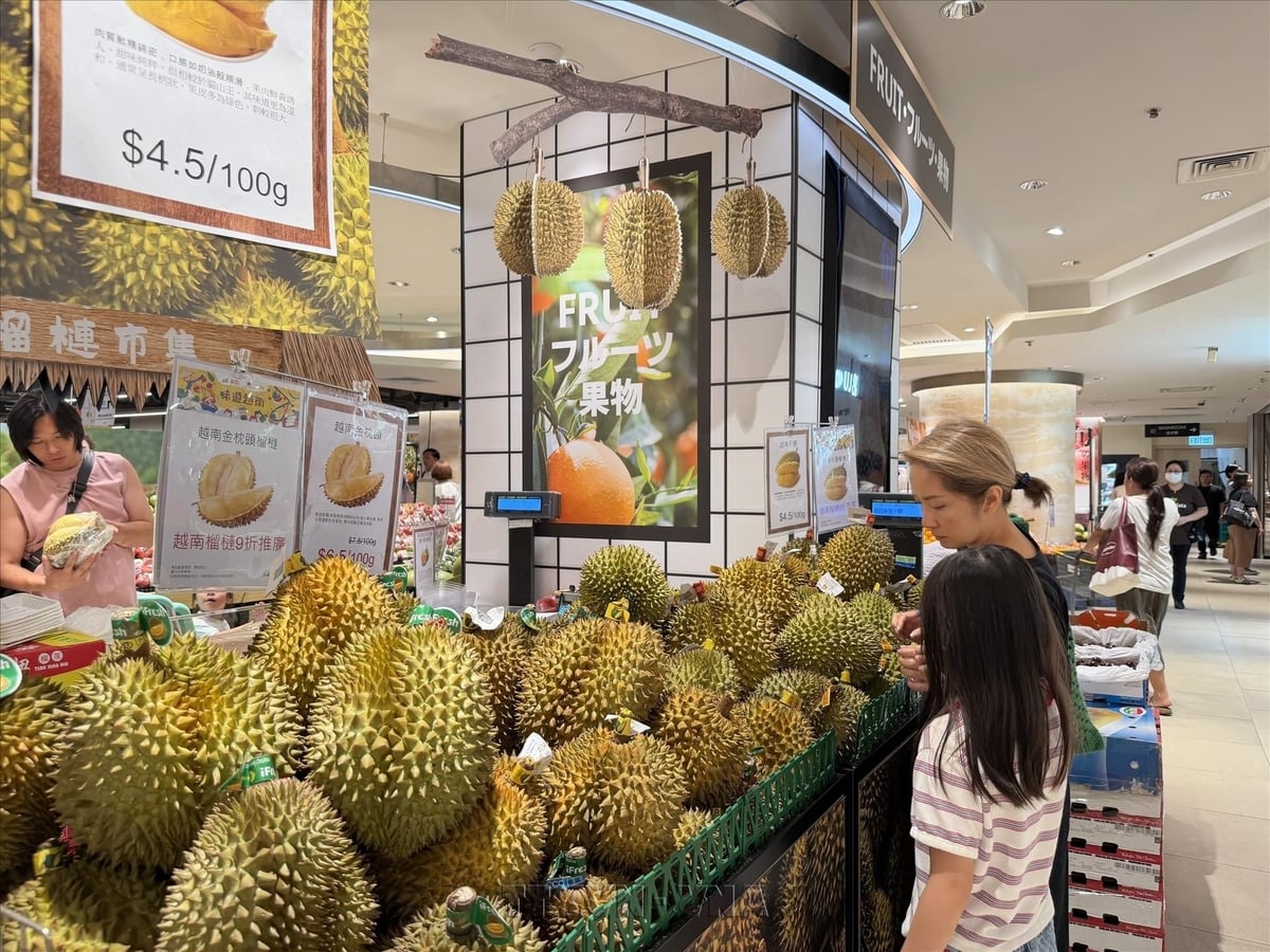 A durian stall at APITA supermarket. Photo: Vietnam News Agency (VNA). A durian stall at APITA supermarket. Photo: Vietnam News Agency (VNA).