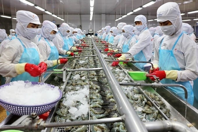 Seafood enterprises, particularly those in the Mekong Delta, are currently facing a severe shortage of unskilled labor. Photo: VAN. Seafood enterprises, particularly those in the Mekong Delta, are currently facing a severe shortage of unskilled labor. Photo: VAN.